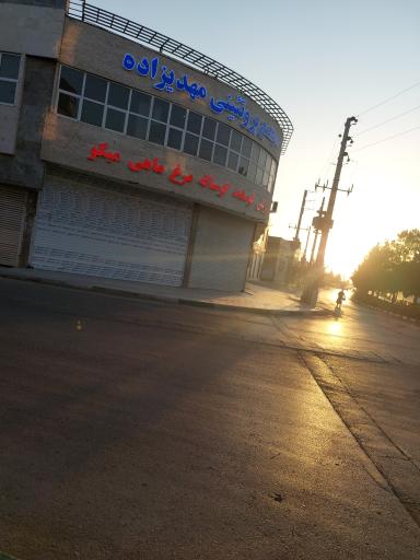 عکس مجتمع پروتئینی مهدیزاده