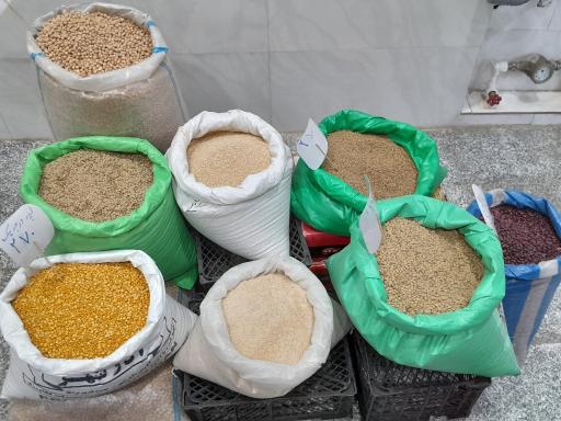 عکس خشکبار یاسین