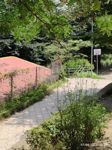 عکس سرویس بهداشتی