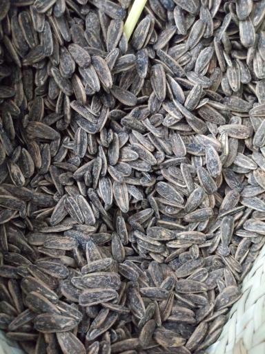 عکس آجیل و خشکبار مرادی