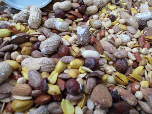 عکس آجیل و خشکبار مرادی