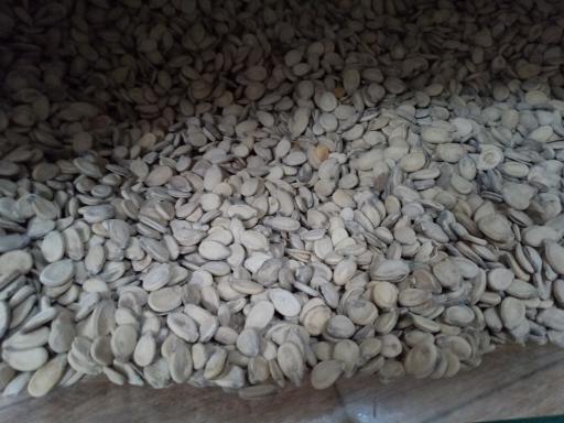 عکس آجیل و خشکبار مرادی