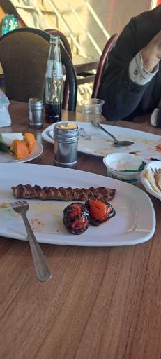 عکس کبابی چگینی شاد