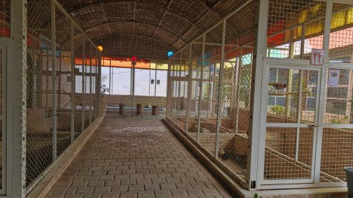 عکس باغ حیوانات میبد