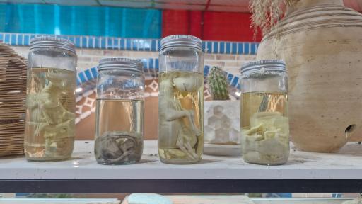 عکس باغ حیوانات میبد