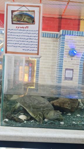 عکس باغ حیوانات میبد