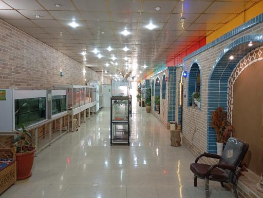 عکس باغ حیوانات میبد