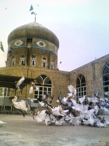 عکس امامزاده حلیمه خاتون