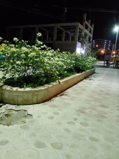 عکس پارک شقایق