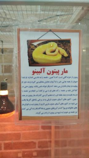 عکس باغ حیوانات میبد