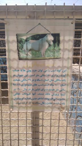 عکس باغ حیوانات میبد