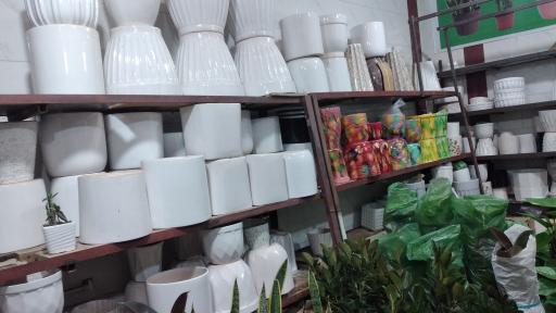 عکس گل سرای باغ بهشت