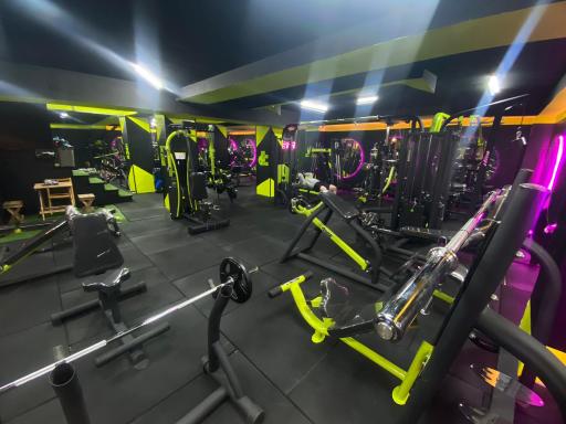 عکس باشگاه بدنسازی ضربان