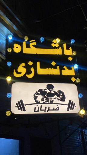 عکس باشگاه بدنسازی ضربان