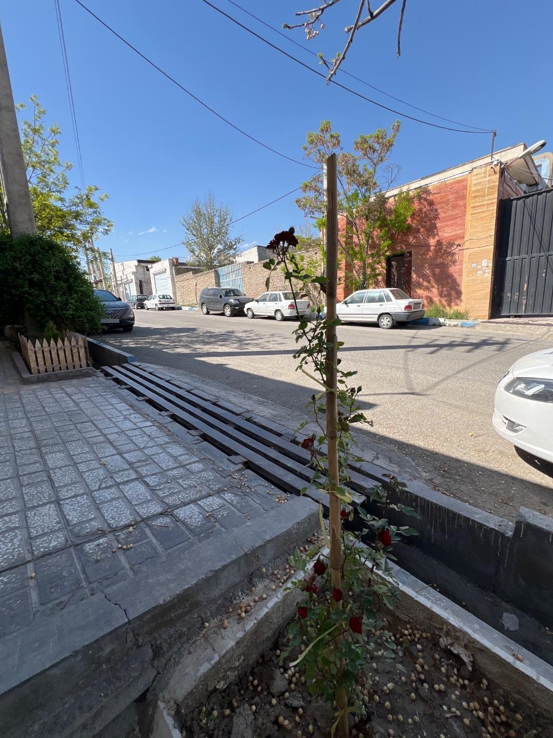 عکس بوم اورس 