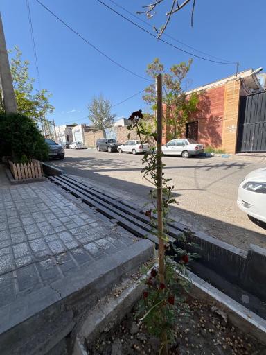 عکس بوم اورس 