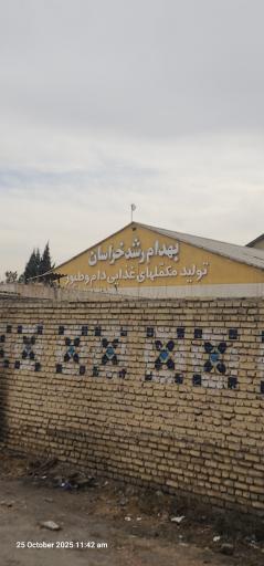 عکس کارخانه بهدام رشد