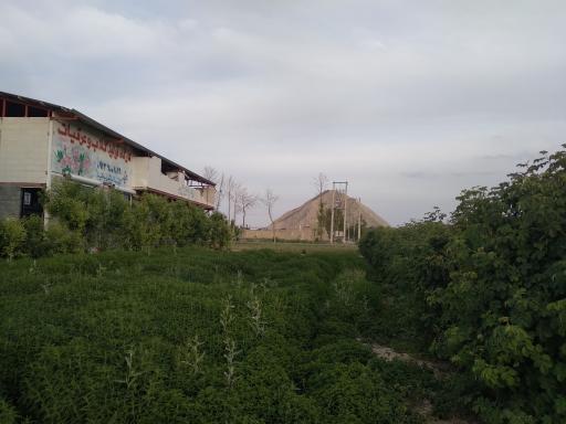 مزرعه گلابگیری کاربیس