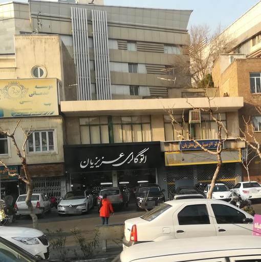 عکس اتو گالری عزیزیان