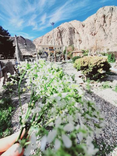 عکس مجموعه رفاهی پردیس ناجا