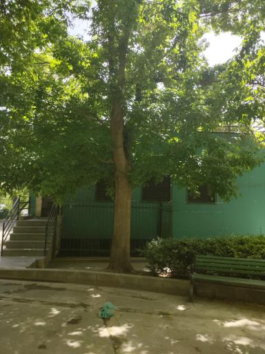 عکس سرویس بهداشتی