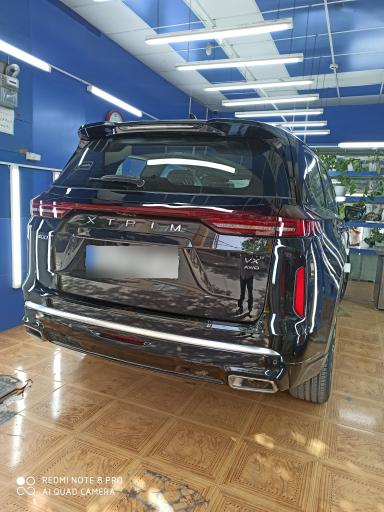 عکس تشخیص رنگ امیر ماکوکار