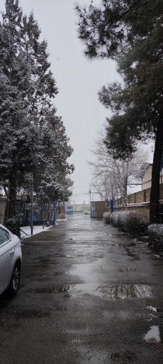 عکس شرکت بازرگانی شفیع