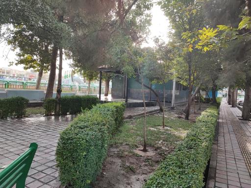 سرویس بهداشتی