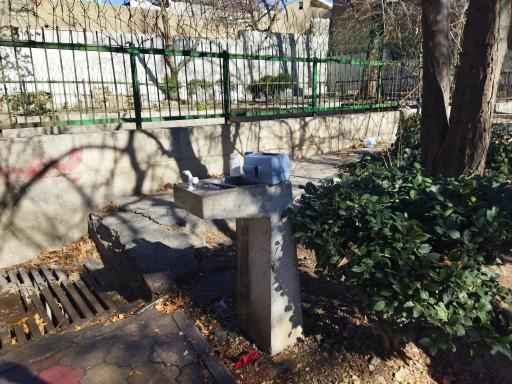 عکس بوستان 15 خرداد