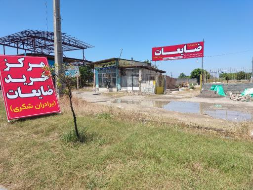 عکس ضایعات برادران شکری