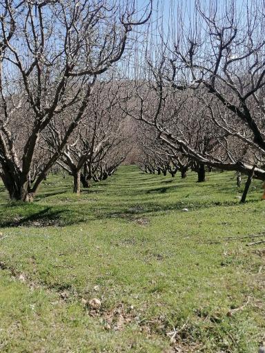 مجتمع ویلایی گلدشت