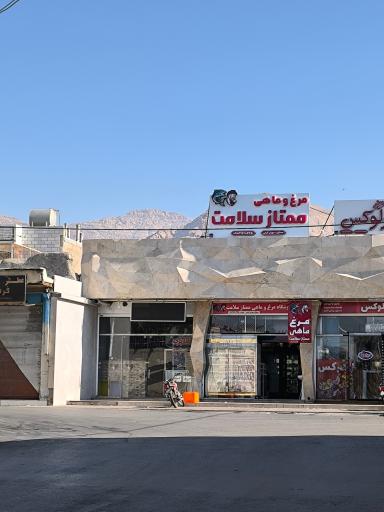 عکس مرغ و ماهی ممتاز سلامت