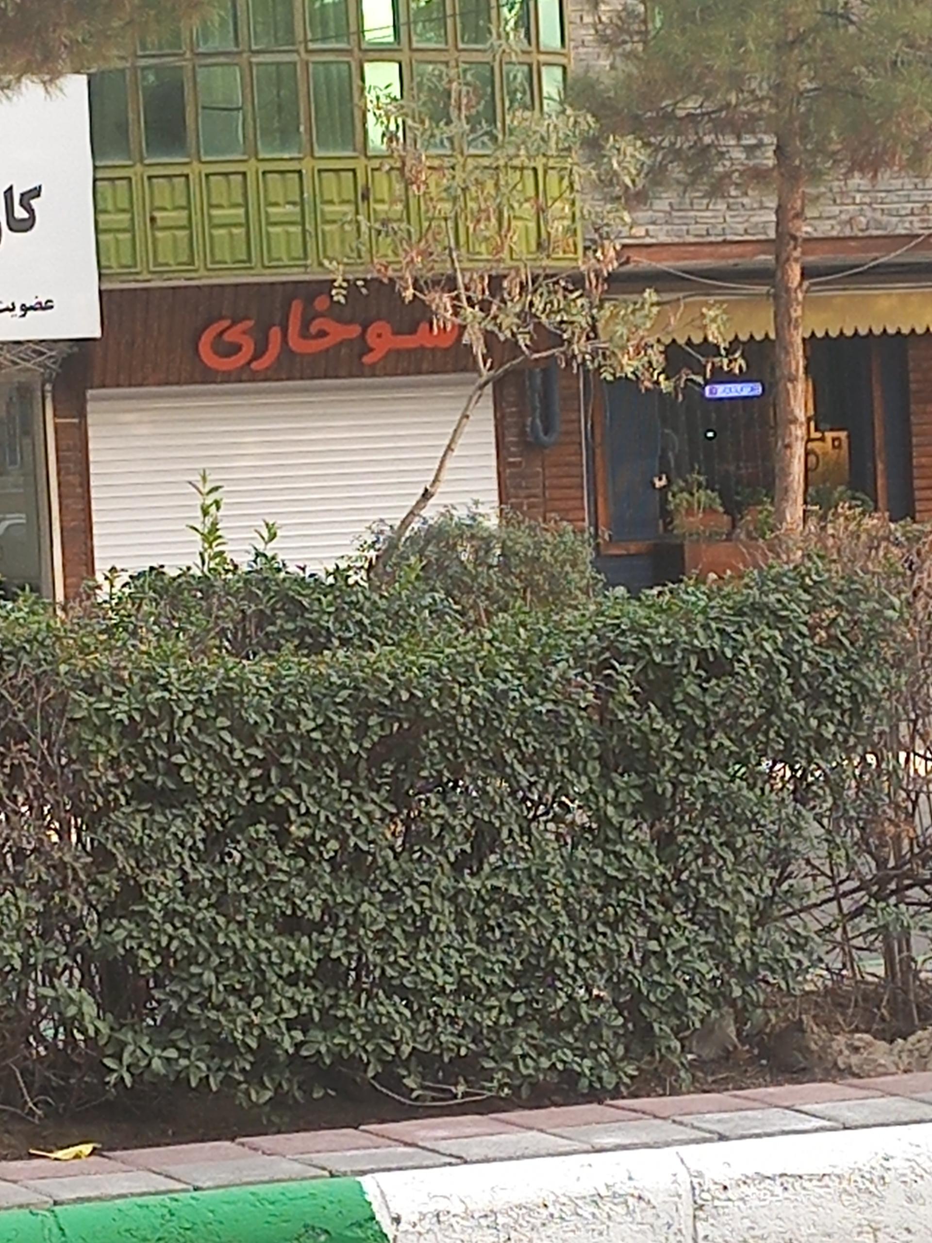 عکس سوخاری 