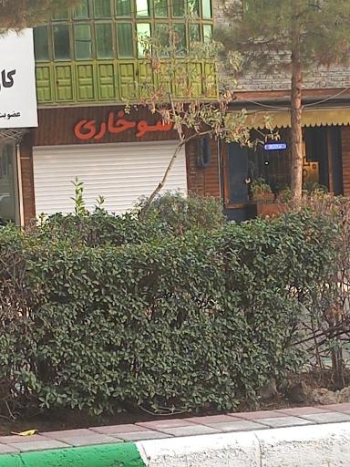 عکس سوخاری 