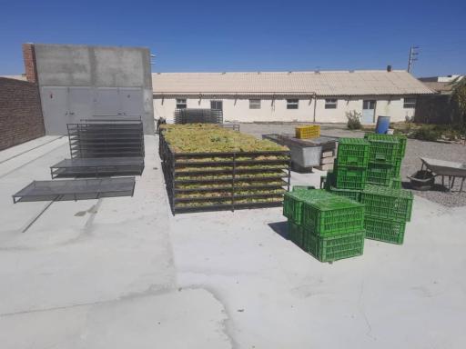 عکس گرمخانه خشک کن انگور و میوه جات