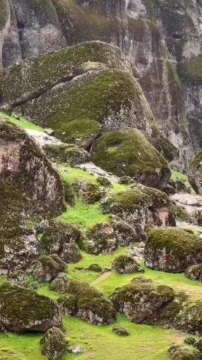 عکس مجموعه توریستی مخمل کوه