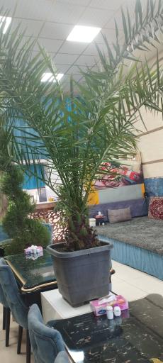 عکس کافه رستوران ساز