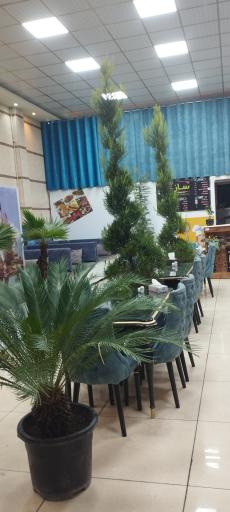 عکس کافه رستوران ساز