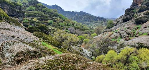 عکس مجموعه توریستی مخمل کوه