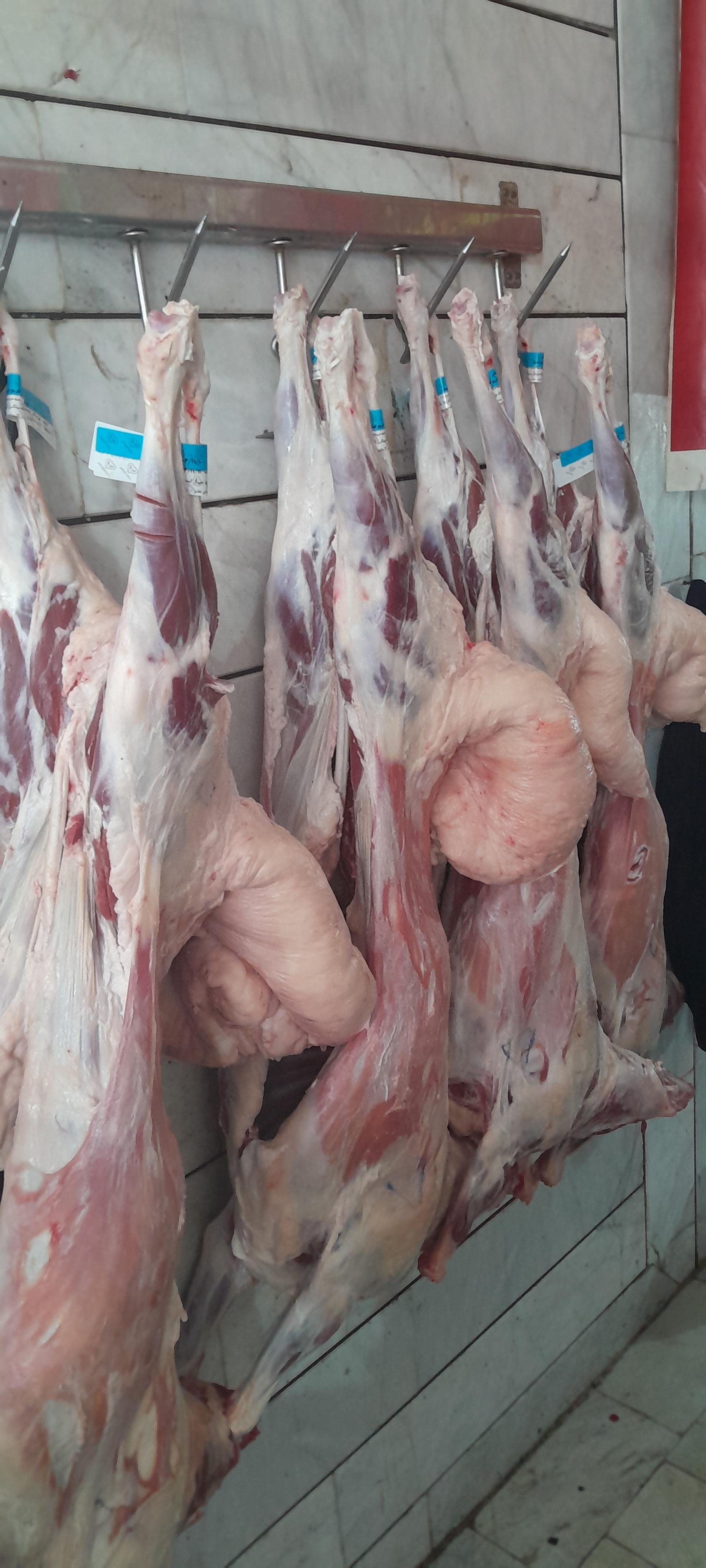 عکس سوپر پروتئین تمندر