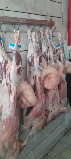 عکس سوپر پروتئین تمندر