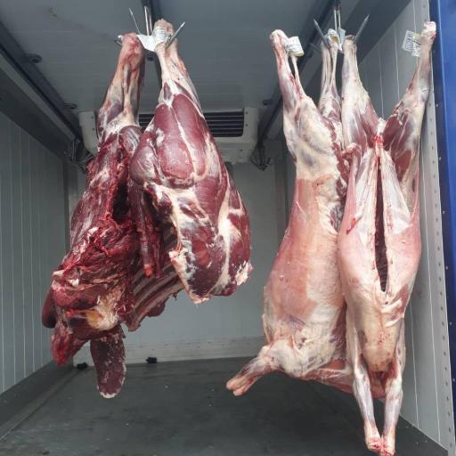 عکس سوپر پروتئین تمندر