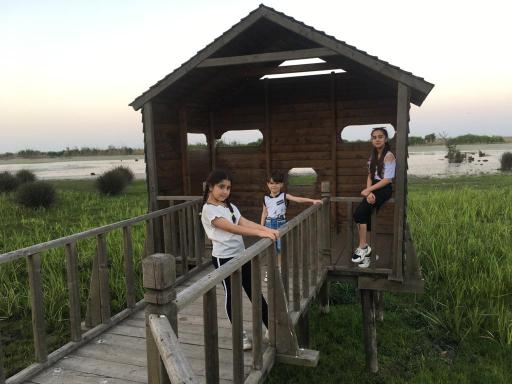 عکس قایق سواری چوبی سنتی تالاب استیل