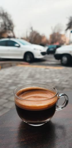 عکس کافه گردو