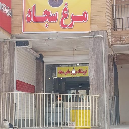 عکس مرغ سجاد 