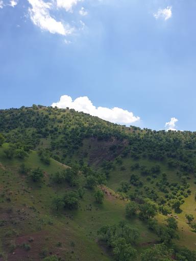 عکس مجموعه توریستی مخمل کوه