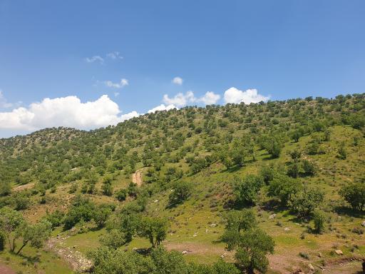 عکس مجموعه توریستی مخمل کوه