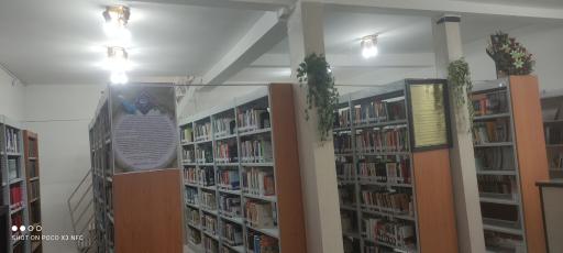 عکس کتابخانه شادروان فرزانه گلدانی
