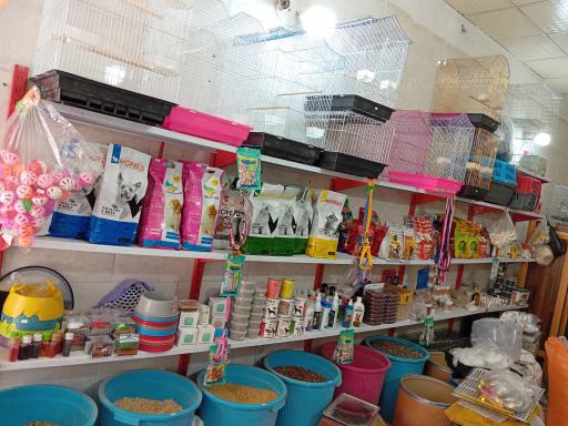 عکس پت شاپ امیر