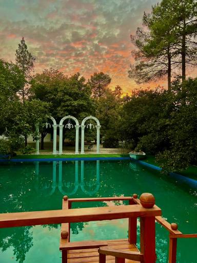 عکس تشریفات مجالس مرادی